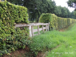 Klootschietvereniging Wilskracht